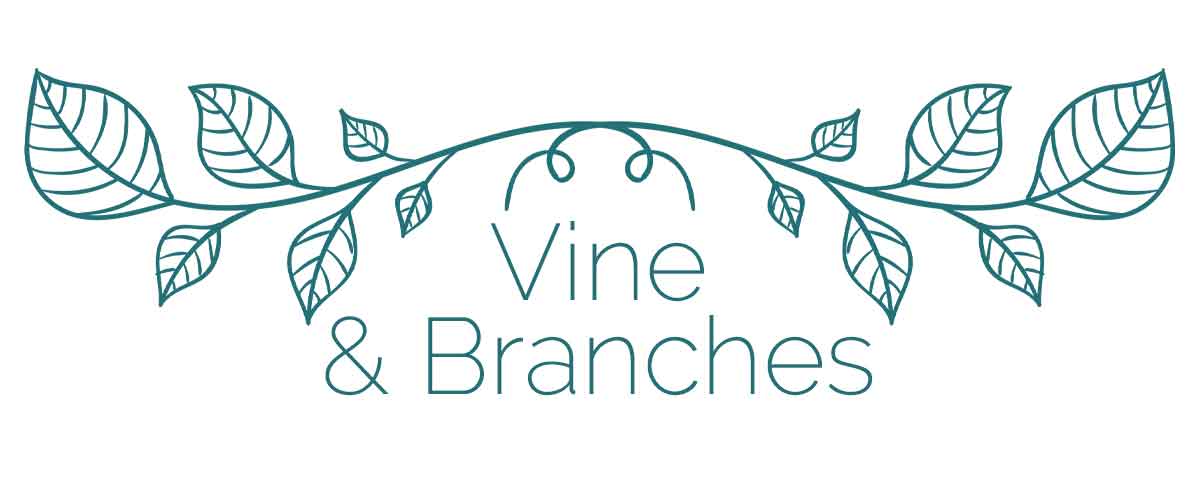Vine & Branches