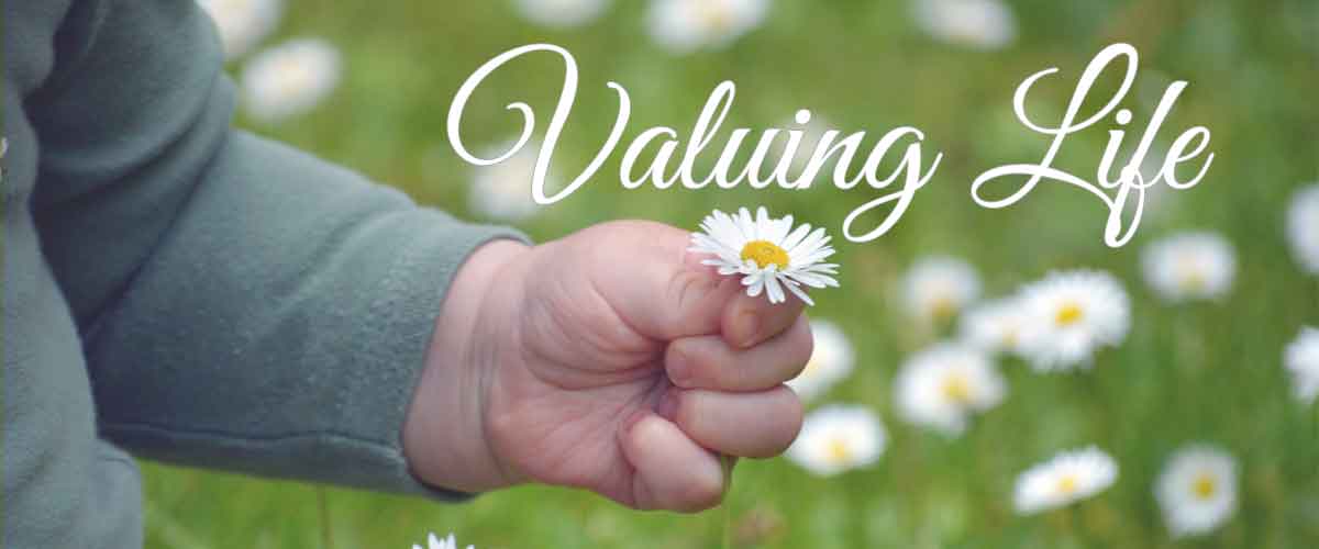 Valuing Life